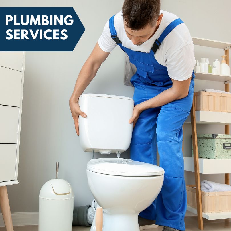 Plumbing Company in Goodwine, IL